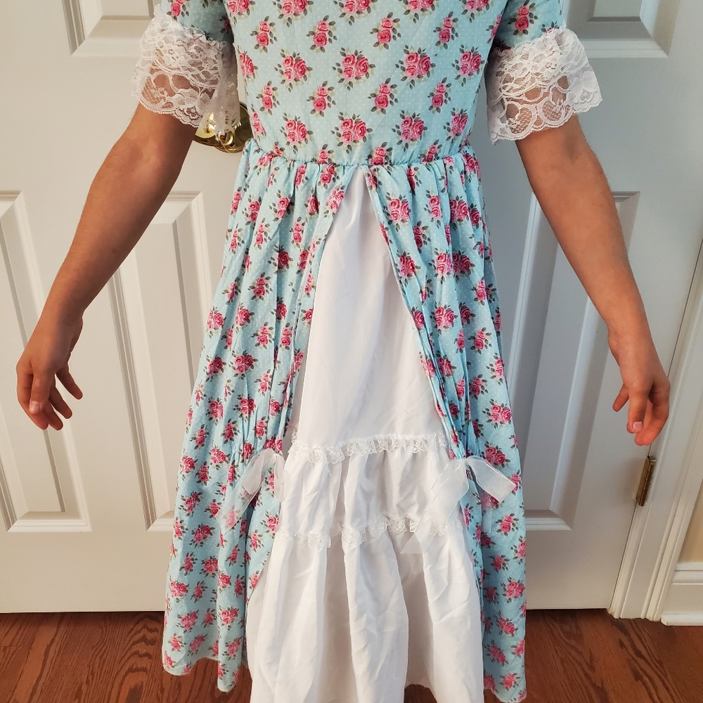 Girls' Historical Early American Lady Pink & Blue Dress Costume Size Medium 8/10 - Picture 2 of 10